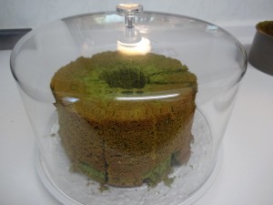 シフォンケーキを型から手だけで取り出すことができるのか？