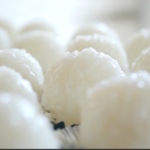 美味しいご飯上映会のご案内 at東京